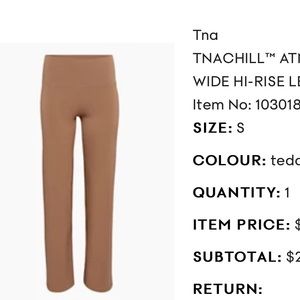 Aritzia TNA chill pants